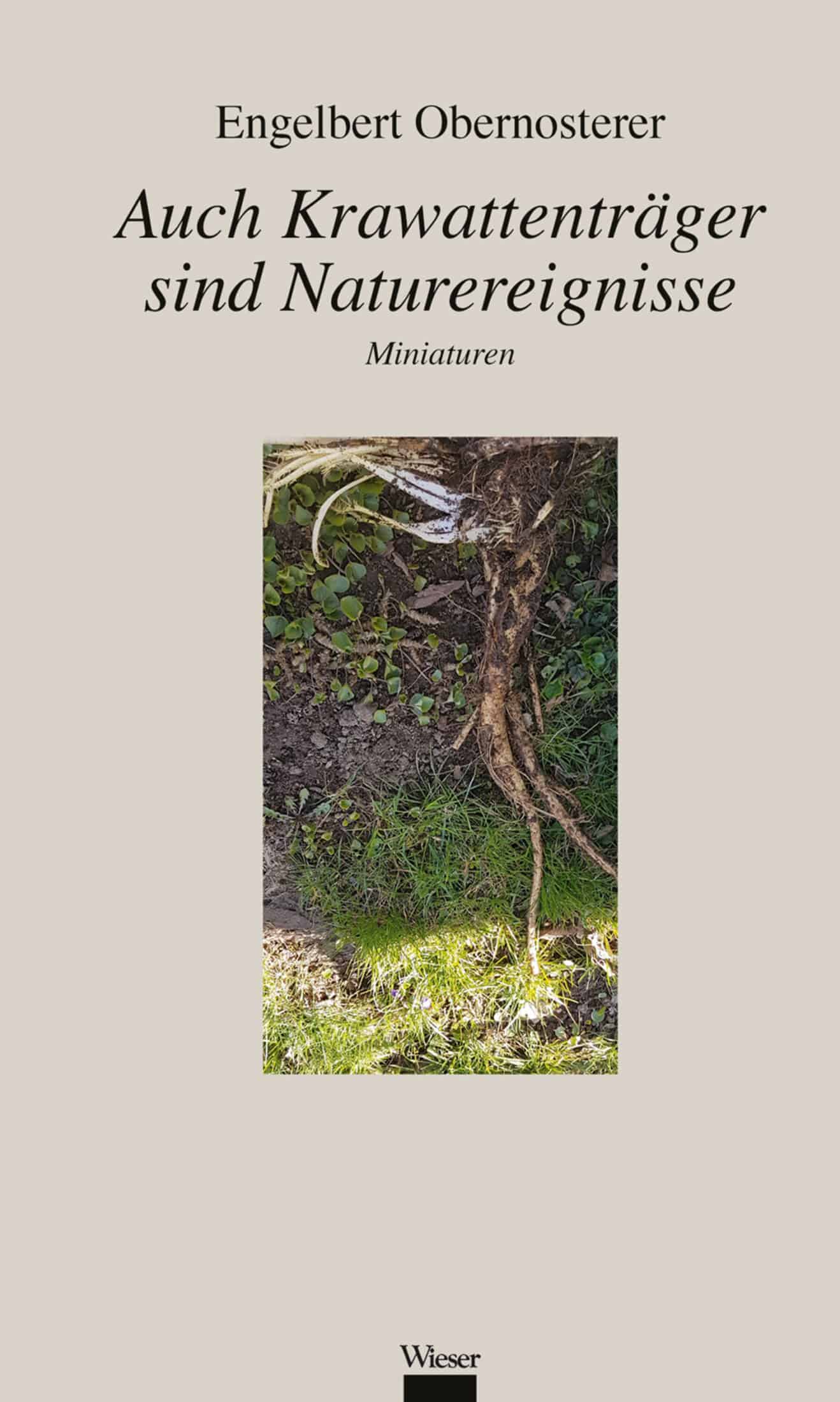 Auch Krawattenträger sind Naturereignisse – Bild 1
