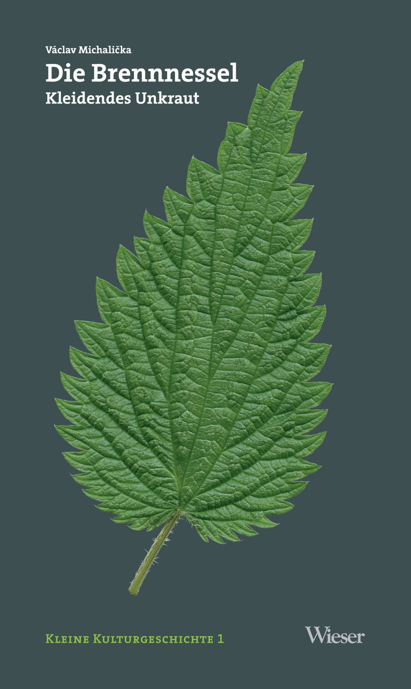 Die Brennnessel – Bild 1