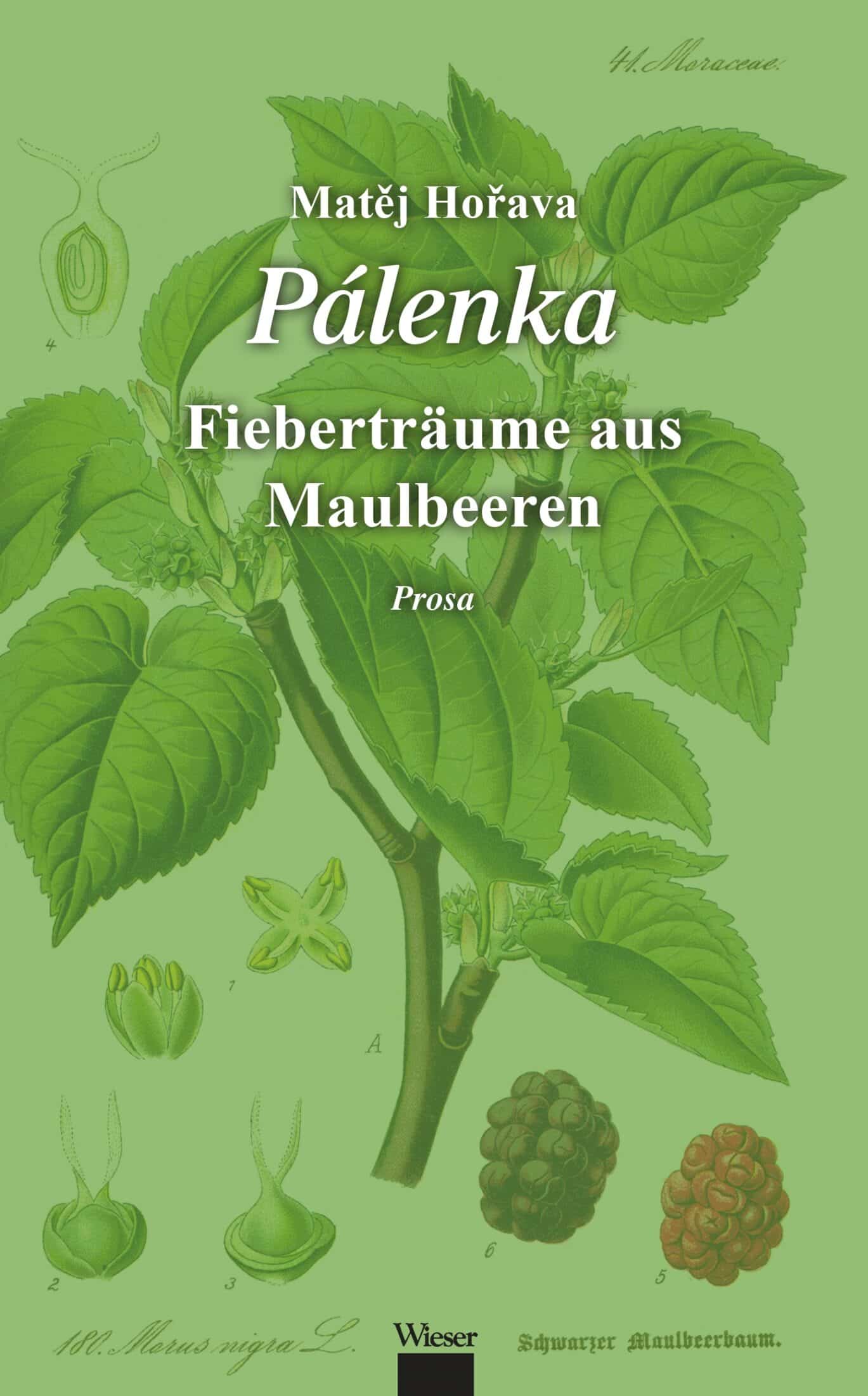 Pálenka – Bild 1